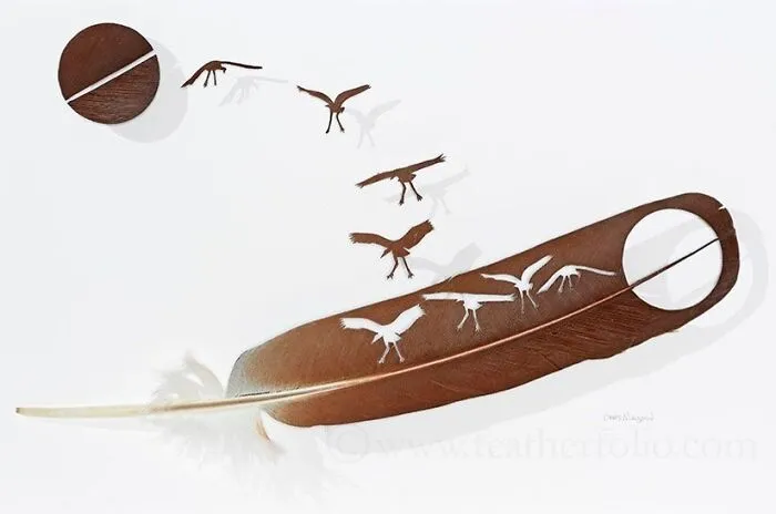 45 Delicate Artworks Made From Hard-Carving Feathers By This Artist (New Pics)