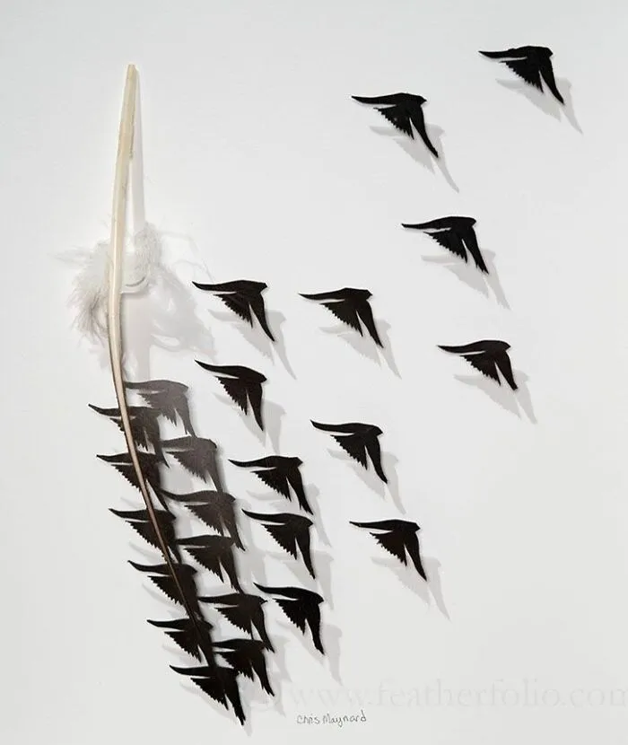45 Delicate Artworks Made From Hard-Carving Feathers By This Artist (New Pics)