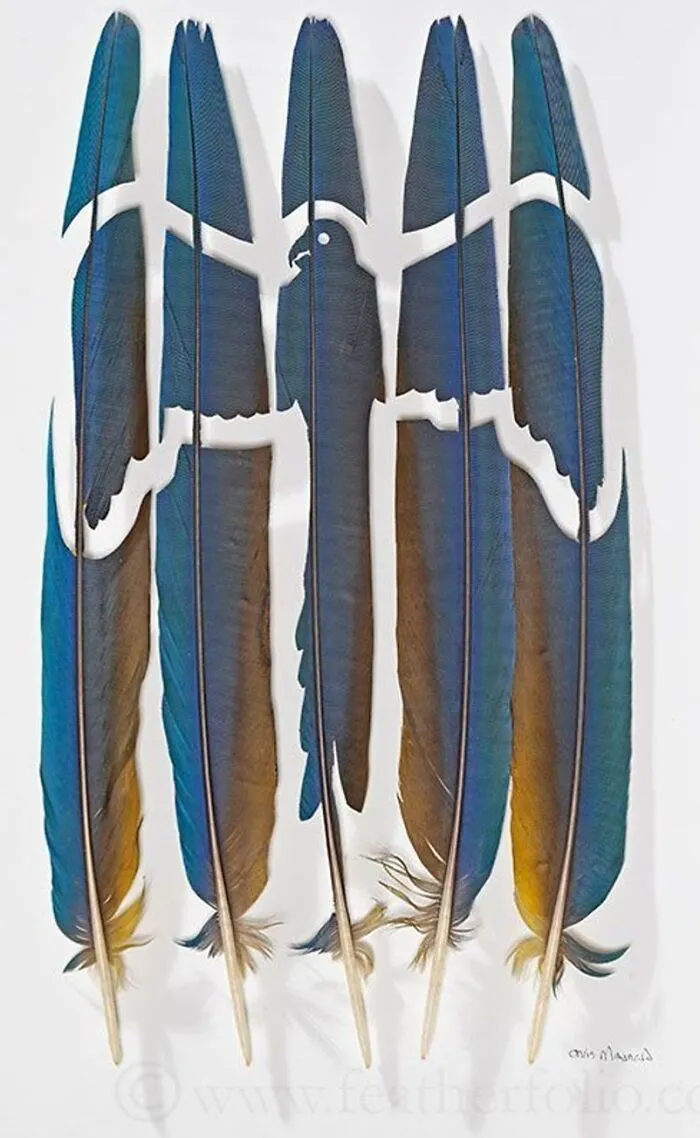 45 Delicate Artworks Made From Hard-Carving Feathers By This Artist (New Pics)