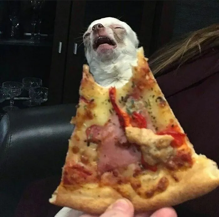 30 Posts That Hold A Lot Of Random Chaos Within, As Seen On This IG Page