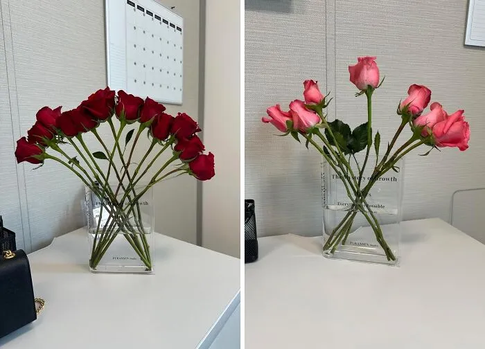 Bloom & Read: <a Style="Display:inline;" Href="Https://Www.amazon.com/Acrylic-Aesthetic-Artistic-Decorations-Centerpieces/Dp/B099pqb6tz?pd_rd_w=3vpra&content-ID=amzn1.sym.97029878-Ffe8-40c6-A635-3D46f5b615a7&pf_rd_p=97029878-Ffe8-40c6-A635-3D46f5b615a7&pf_rd_r=kjzyedqs4n0gdq07x7hw&pd_rd_wg=3a6s5&pd_rd_r=ce3b7cf5-A95d-4e71-A17a-Dcec17bcd2ba&pd_rd_i=b099pqb6tz&th=1&linkcode=ll1&tag=bpmoose-20&linkid=afd4fd2a2b7bb68ec522581075d39cce&language=en_us&ref_=as_li_ss_tl" Target="_blank"><span Style="Font:inherit;color:#d74b1f;"> Bookend Vase</Span> Brings Floral Flair To Your Library!