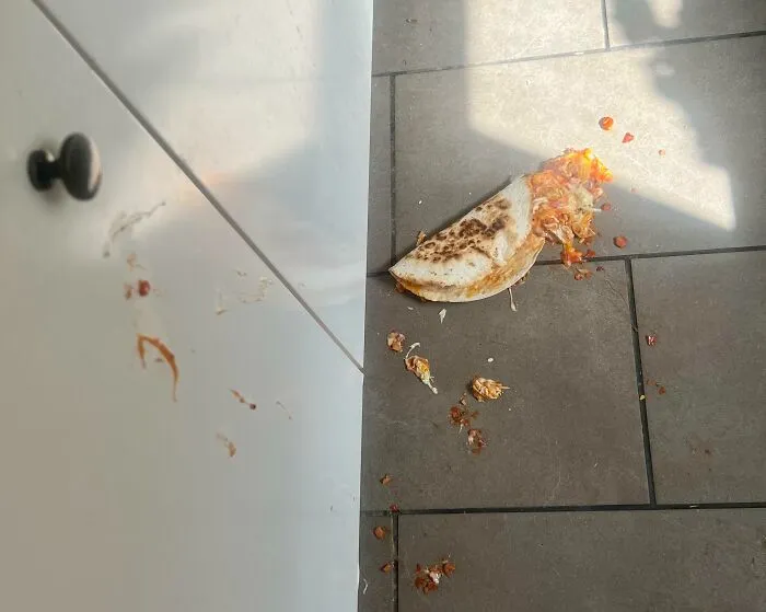 I Was Really Looking Forward To This Homemade Quesadilla