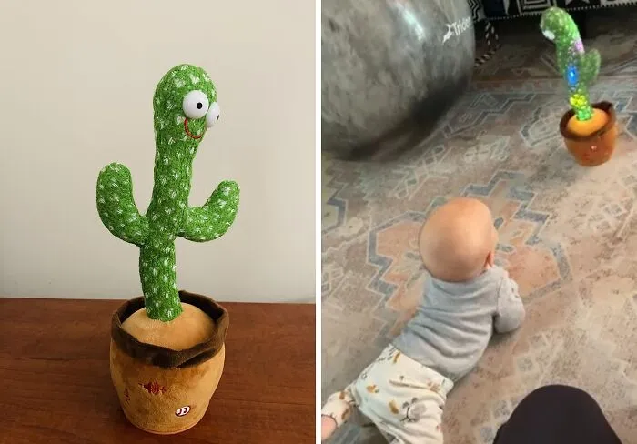 Cactunes: <span Style="Font:inherit;color:#d74b1f;"> The Musical Cactus That Talks Back </Span>