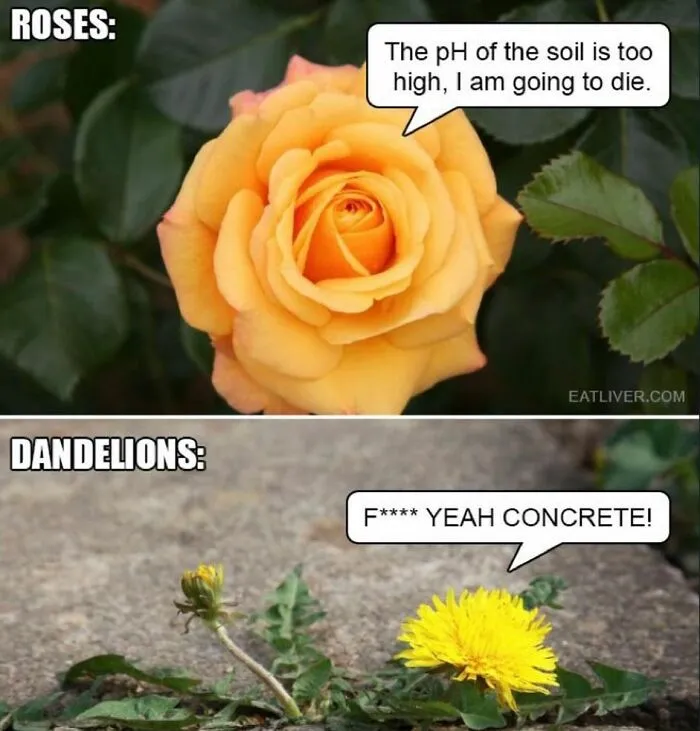 ‘Science Is Fun’: 50 Funny And Smart Memes For Science Lovers Everywhere