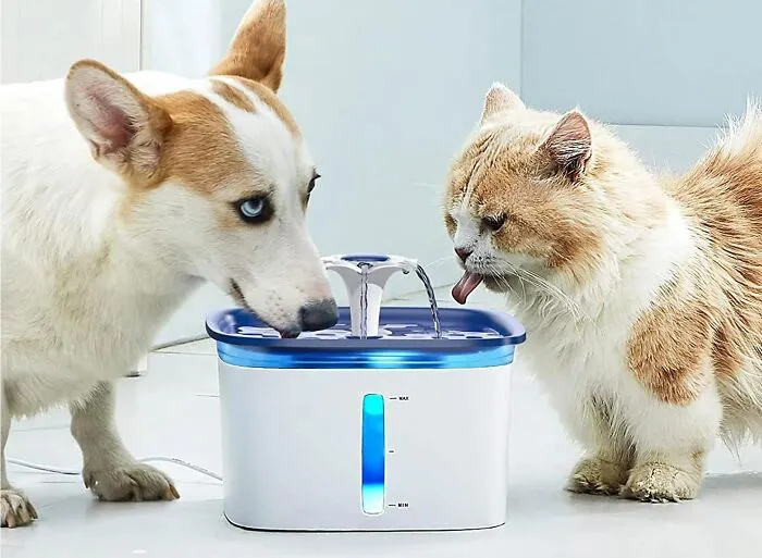 <span Style="Font:inherit;color:#d74b1f;"> Fountain Of Woof</Span>: Endless Water Wonderland For Cats & Dogs