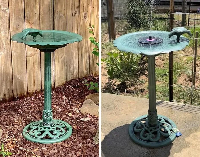 <a style="display:inline;" href="https://www.amazon.com/Alpine-TEC114-Bird-Side-Green/dp/B004ETSI02?ie=UTF8&linkCode=ll1&tag=bppony-20&linkId=ae3ef82b5b10d7a61b477dfbadf99cc2&language=en_US&ref_=as_li_ss_tl " target="_blank"> Upgrade Your Backyard With <span Style="Font:inherit;color:#d74b1f;"> The Birdbath</Span>: Where Feathered Friends Gather In Tranquil Harmony