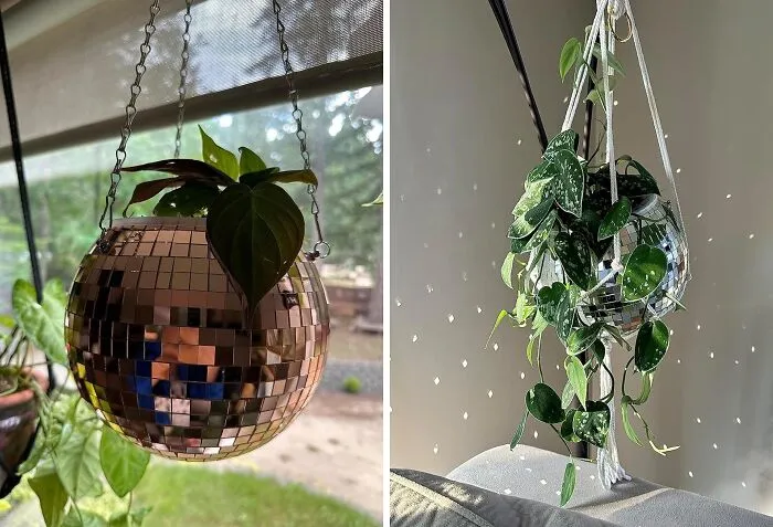 Get Down With Your Plants: <span Style="Font:inherit;color:#d74b1f;"> Disco Ball Planter</Span> For Groovy Greens