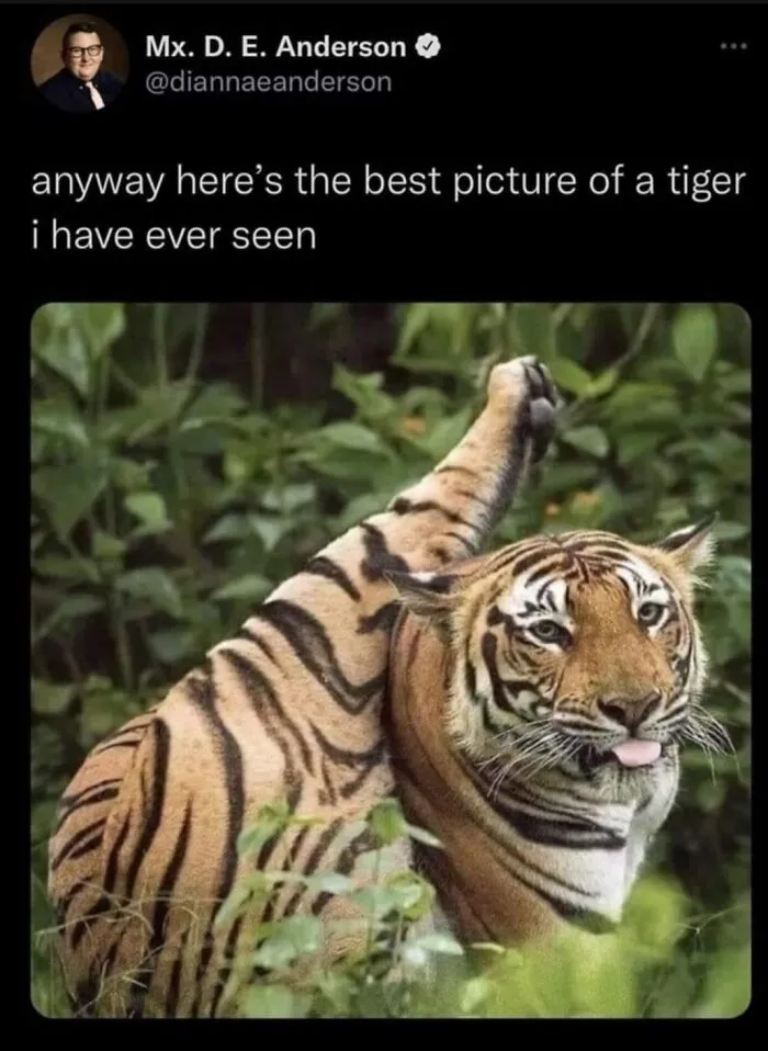 50 Animal And Nature Memes, As Shared By Members Of This Popular Facebook Group