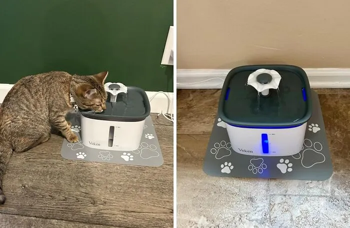 Quench Your Pet's Thirst With A <span Style="Font:inherit;color:#d74b1f;"> Pet Fountain</Span>: A Hygienic Solution For Fresh Water
