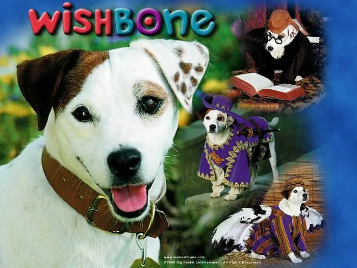 Anyone Else Used To Watch This?