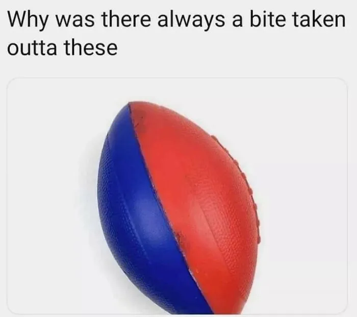 We Didn't Even Have A Dog