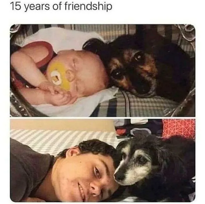 Truly Man's Best Friend!