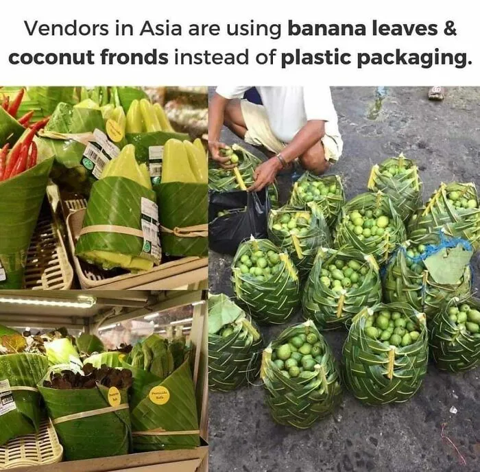 Better Packaging Options Do Exist