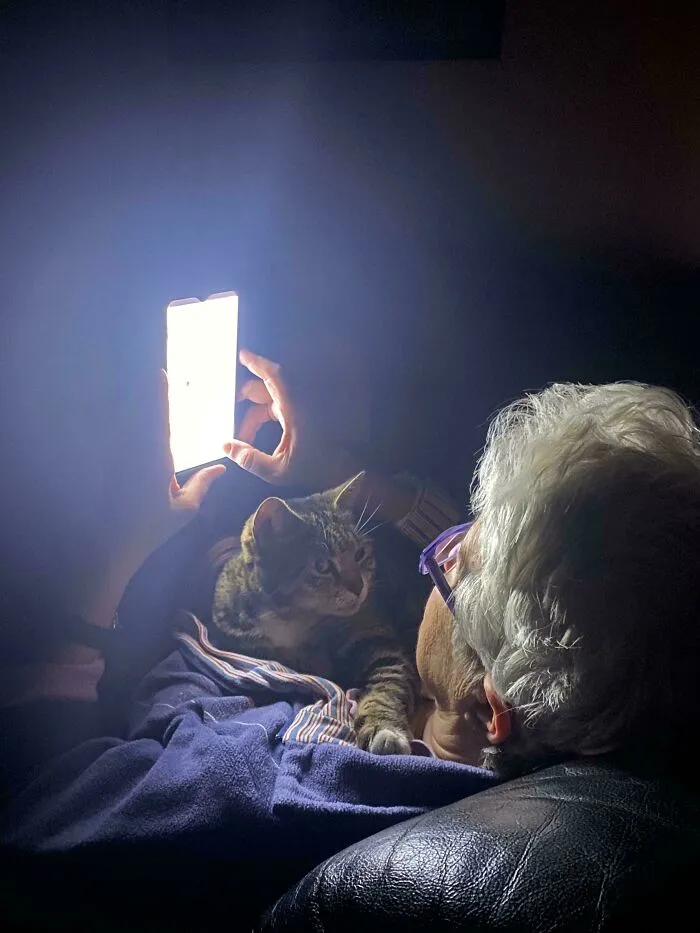 Gato con su persona favorita