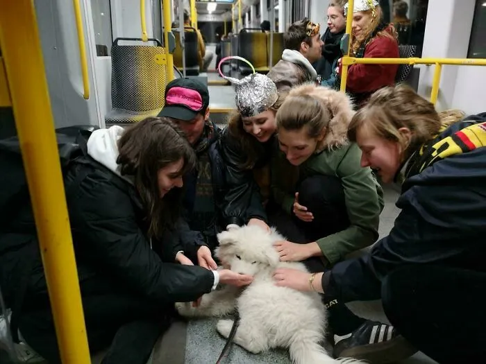 Volviendo a casa en el tren algo borrachos