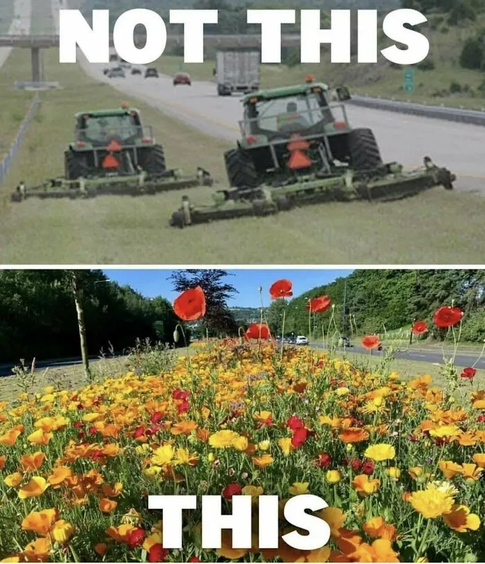 Lawn Hating Post Beware