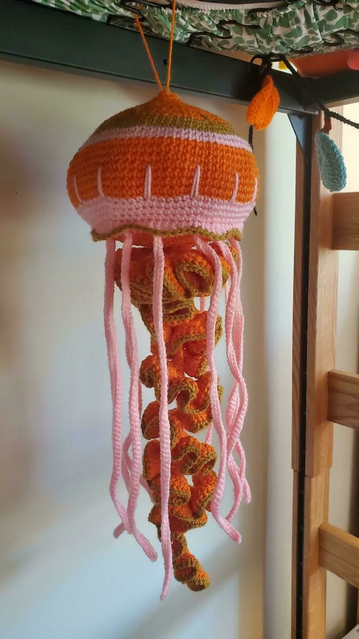 Jellyfish I'm Proud Of