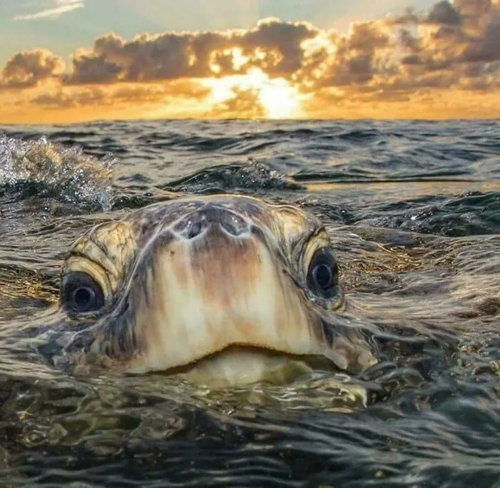 One Of The Most Beautiful Photos Ever Captured By Philip Waller Photography