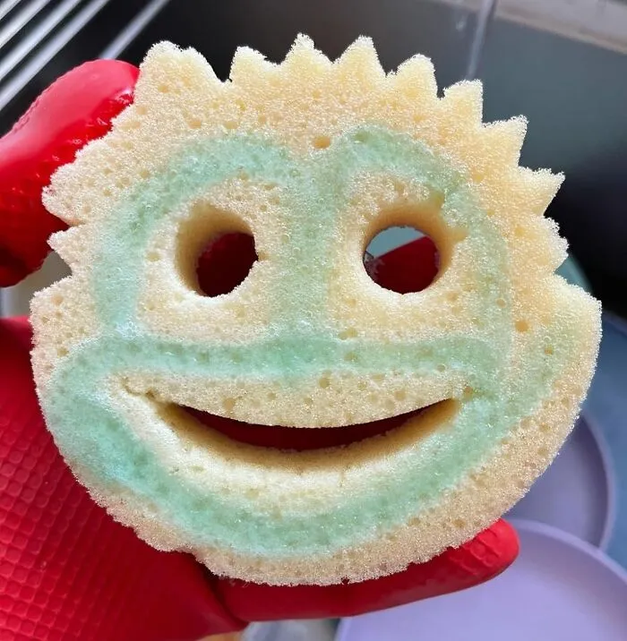 Enhance Your Kitchen Cleaning Routine With Dish Scrubber + Non-Scratch <a Style="Display:inline;" Href="Https://Www.amazon.com/Scrub-Daddy-Mommy-Non-Scratch-Multi-Surface/Dp/B0cj1b6d6s?ie=utf8&th=1&linkcode=ll1&tag=bpstingray-20&linkid=db8823aaa424e2034aa16c1c235c5ea2&language=en_us&ref_=as_li_ss_tl" Target="_blank"><span Style="Font:inherit;color:#d74b1f;"> Cleaning Sponges</Span>