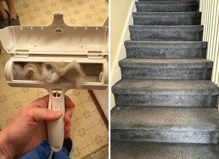 Your Furry Friends Have Left Their Mark On Your Carpet, But That Doesn't Mean You Have To Roll Over And Accept The Hair-Raising Mess - A <a Style="Display:inline;" Href="Https://Www.amazon.com/Chom-Roller-Hair-Remover-Reusable/Dp/B0c2fmzmhp?ie=utf8&th=1&linkcode=ll1&tag=bpstingray-20&linkid=21d8068145a4af294c95d4be9904afb1&language=en_us&ref_=as_li_ss_tl" Target="_blank"><span Style="Font: Inherit; Color: #d74b1f;"> Pet Hair Remover </Span> Is Just The Thing To Get Your Floors Looking Paws-Itively Pristine Again