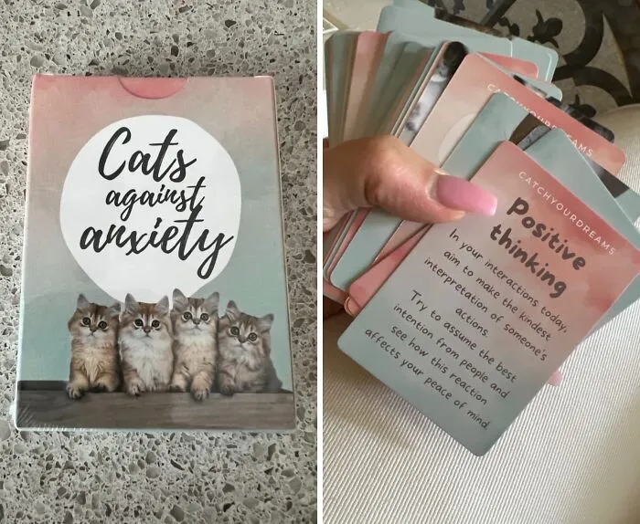 Paws For Peace With <span Style="Font:inherit;color:#d74b1f;"> Cats Against Anxiety Cards</Span> - Meow-Magic Affirmations