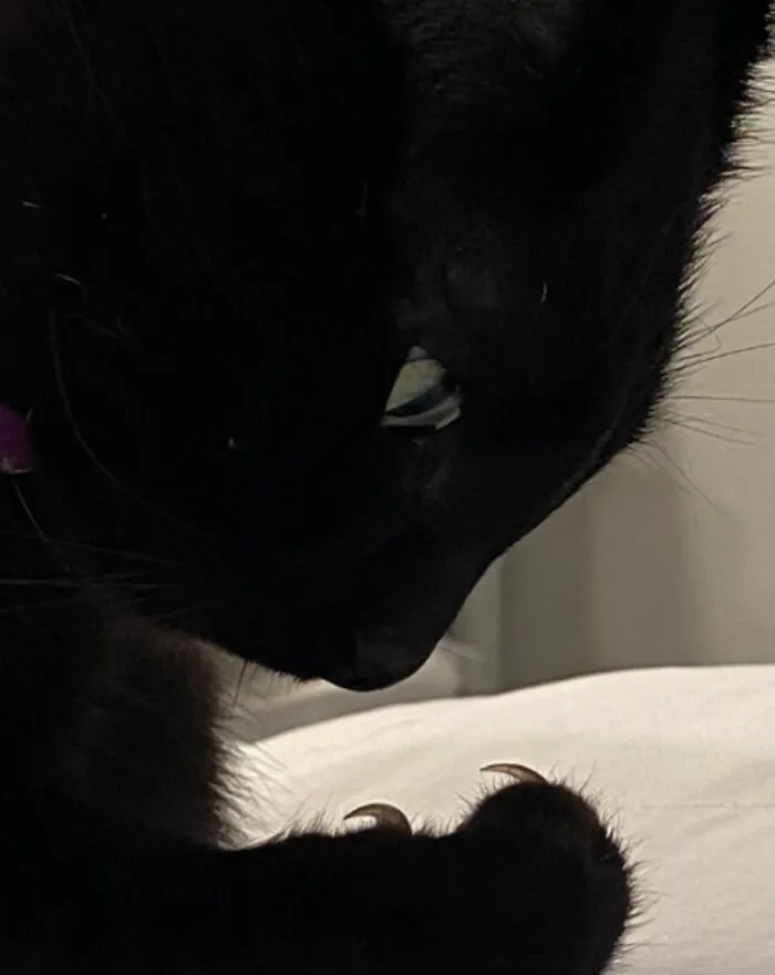 So Intensely Cute