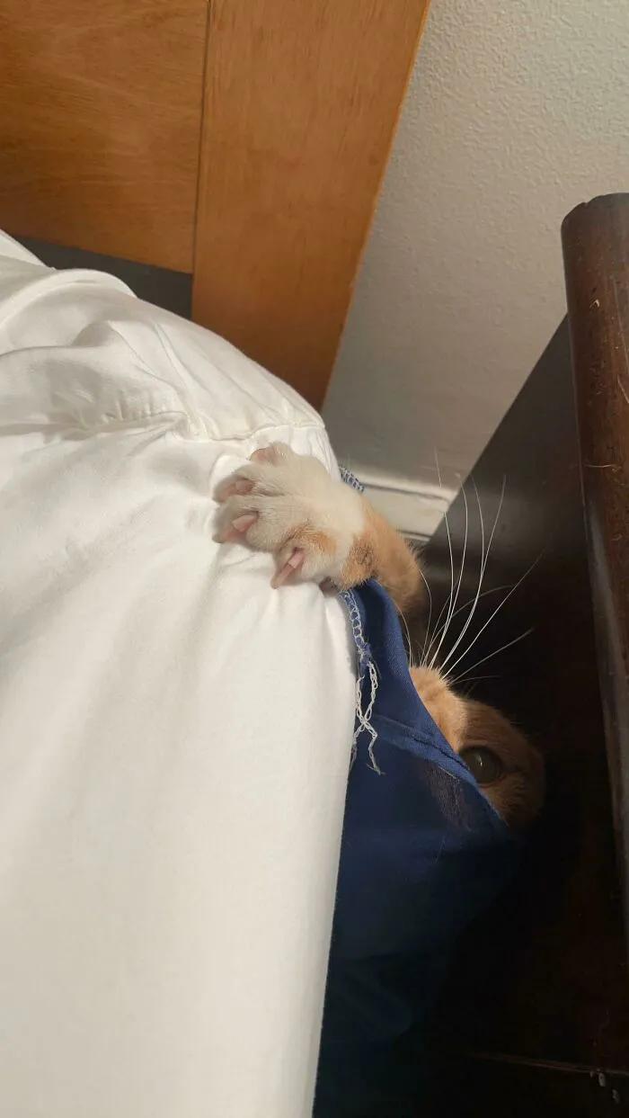 Laundry Time Is A Truly Terrifying Experience Every Week