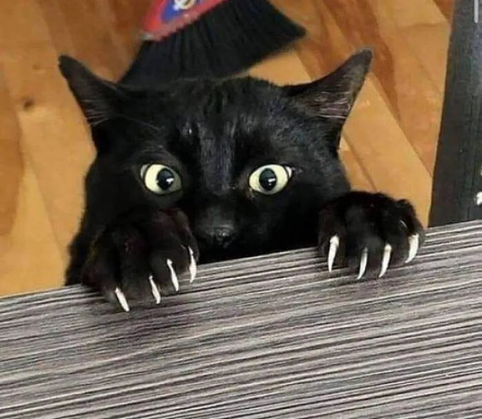 "I Just Got My Nails Done Do Ya See Them!?"