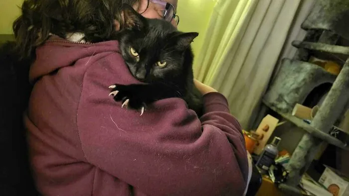 Black cat with sharp claws hugged by a person wearing a maroon hoodie, displaying both adorable and scary traits.