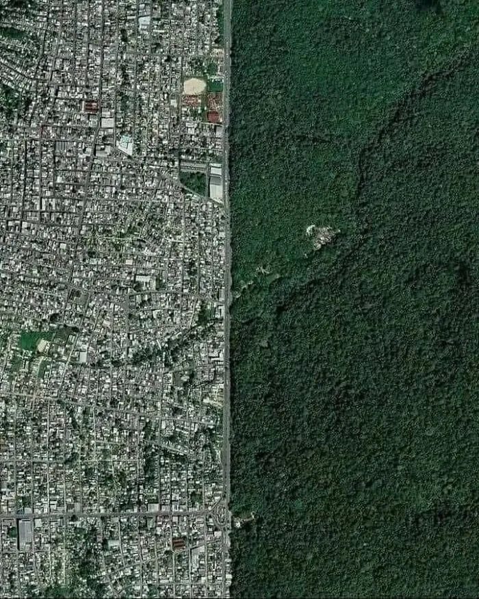 The Border Between The Brazilian City Of "Manaus" And The Amazon Rainforest