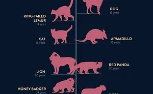 “Data Is Beautiful”: 40 Charts And Guides That Might Change Your Perspective On Things (New Pics)