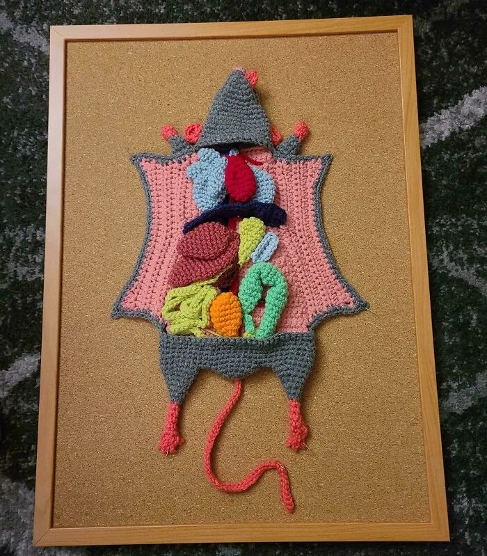 My Wife Made This Dissected Rat