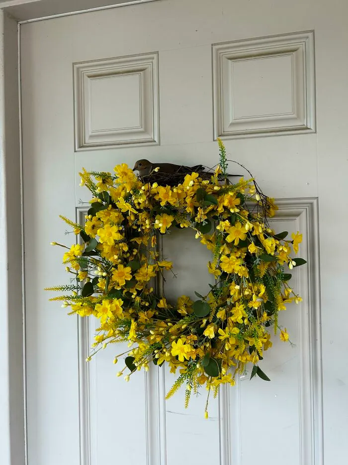 This Mf Set Up Shop On My Wreath And Now I Can’t Open My Front Door Without Getting Attacked By It