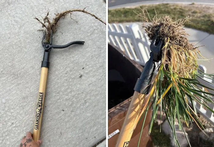 <span Style="Font:inherit;color:#d74b1f;"> Stand Up Weed Puller</Span>: Your Tool For Effortless Garden Maintenance