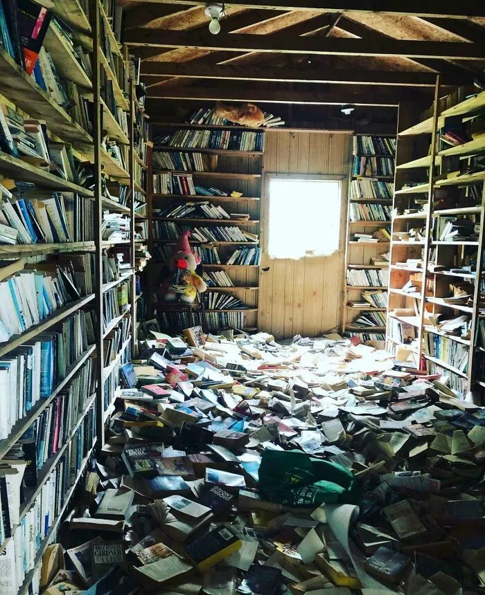 Abandoned House I Came Across - Felt Weird Taking Any Home