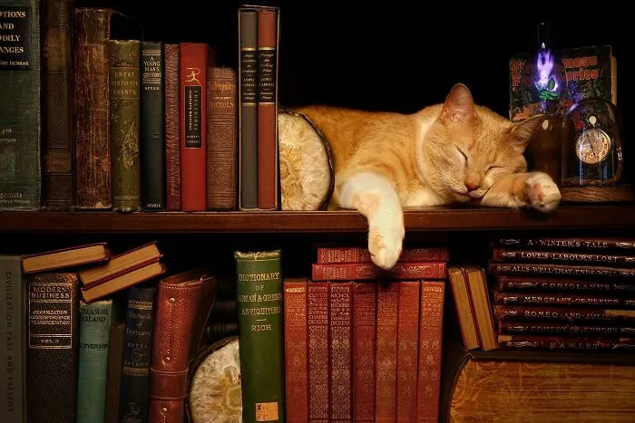 My Reading Nook