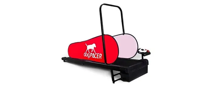 DogPACER 3.1 Treadmill