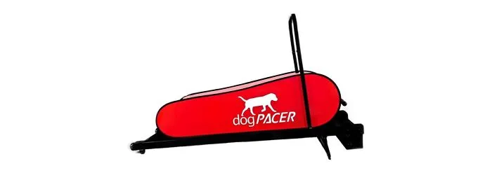 DogPACER Minipacer 