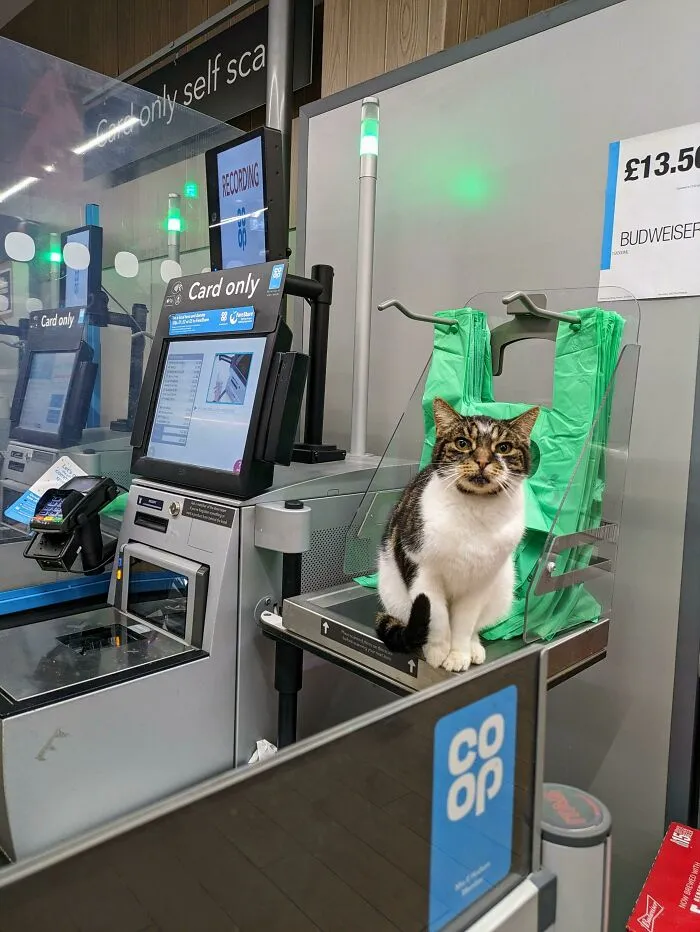 Unexpected Item In Bagging Area