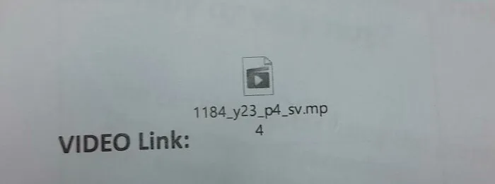 La profesora ha impreso en papel el archivo de video