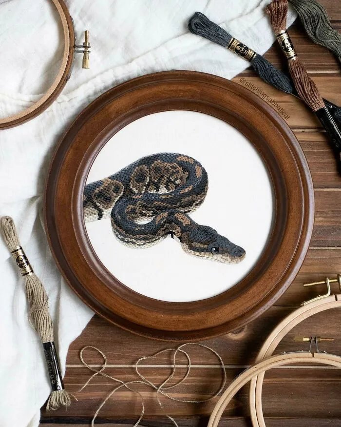 My Finished Ball Python Embroidery!