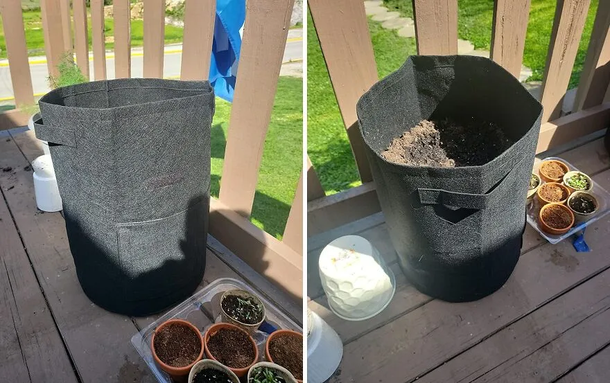 <a style="display:inline;" href="https://www.amazon.com/JJGoo-Harvest-Non-Woven-Planter-Vegetables/dp/B09W5XPV6P?crid=VI98G072BB6P&dib=eyJ2IjoiMSJ9.br5A6mH13ZTCN_mVOlKh3PwFBAZTrw8PCfI7GUwmhN_yHA64ydAUsZ_u6vGv0PFvgt3LL9UwD5j8-b5ErHBoauF5n2bcO245zo2GYx17rcploRrH76OjiPVk6Rg5OkykBdE9YHZS7zrFr1Jezk2lo-mu-ccyDVJ4_ZWZyCEZOLs4qn_p8-qc54UOy9938PS2HriBHsaYFeMJ79HqcdlKGpKURo_M_EtYqsHjRCdNXDsq_NYBUd1_piJrQ7AnisTEmrPxfu3RVKaPlTlcRIEfhJOZ4xohBwSQDYytF2HwTbM.0bq9GFlKqXxS0O7h0bk5JB48oU32AfL-221SBp2mcos&dib_tag=se&keywords=garden&qid=1714041328&sprefix=garden%2Caps%2C188&sr=8-31&th=1&linkCode=ll1&tag=bppanther-20&linkId=57ec438fa36cc551083f732a9a9c9c4f&language=en_US&ref_=as_li_ss_tl " target="_blank"> Grow Stuff On The Go: With<span Style="Font:inherit;color:#d74b1f;"> Jjgoo 10 Gallon Bags</Span>, Your Garden Moves With You