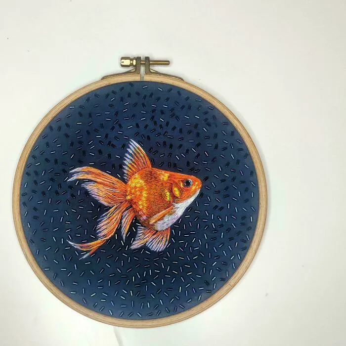 Mr Sparkle Fish