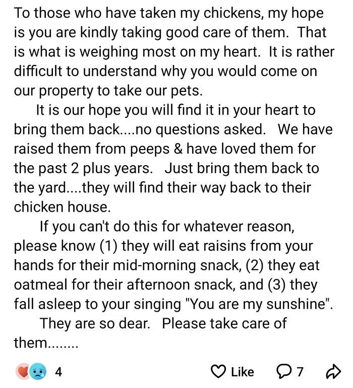 Return This Sweet Lady's Chickens, Right Now!