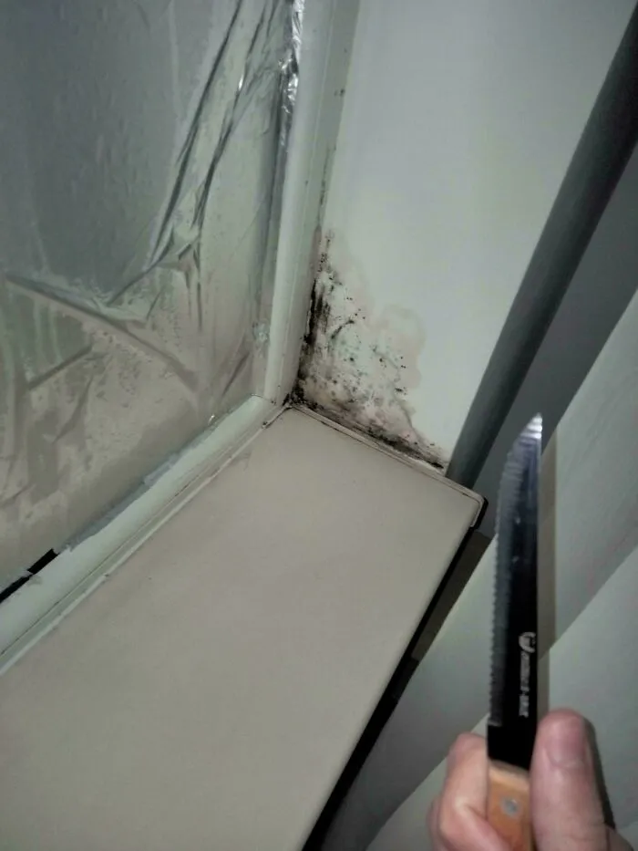 Voy a luchar contra el moho de mi cuarto, deseadme suerte