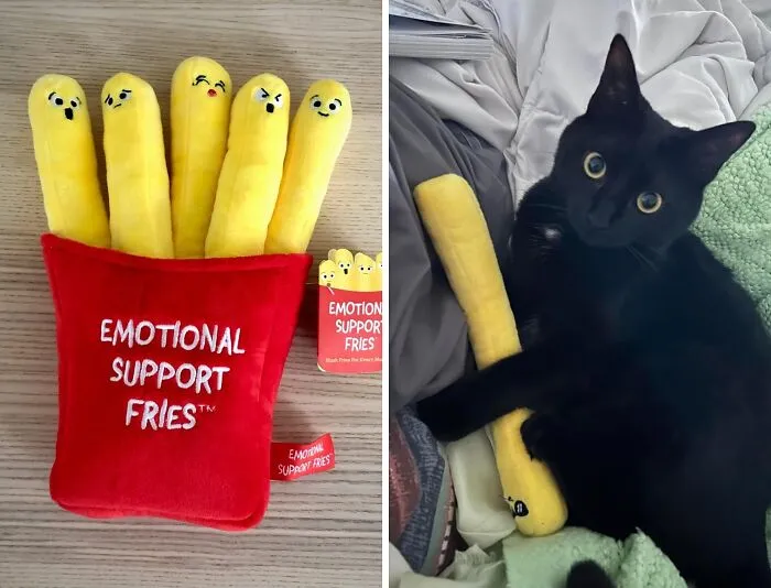 Hey Mom, Feeling Salty? Grab Some <span Style="Font:inherit;color:#d74b1f;"> Emotional Support Fries</Span>!