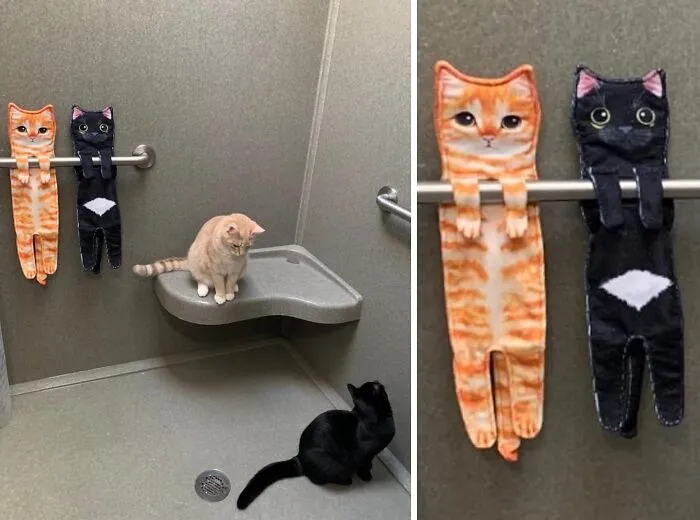 For The 'Purrfect' Mom - Funny<span Style="Font:inherit;color:#d74b1f;"> Cat Hand Towels</Span> She Will Adore!