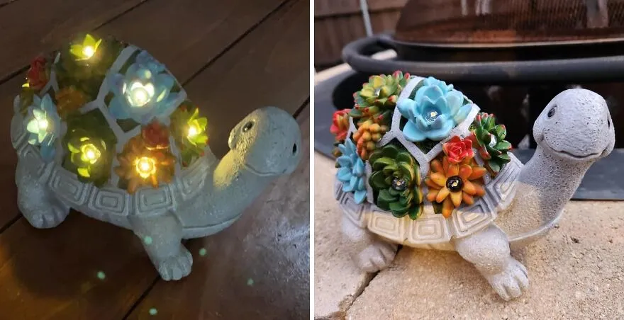 Even Turtles Love Succulents! Check Out<span Style="Font:inherit;color:#d74b1f;"> Nacome’s Solar Garden Statue</Span>