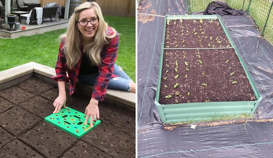 <a style="display:inline;" href="https://www.amazon.com/Seeding-Square-Perfectly-Vegetables-Conserves/dp/B00US8ESWK?crid=VI98G072BB6P&dib=eyJ2IjoiMSJ9.YgUePlI0u_y10uLdTJIJGjfIm5I0xNyWllyjuGdeRLSyfc_9VPbG_TWCX4J0p0xdqCdRRKFzTbOogDe6Q_XYKmxc1CzVeAL6cL8waExj3TBHpqytVFZIZwDc4Aior7PN05J-2SGpr2kbMuboDxXkzlOabWsC5sune_UI6wiasjYNYbRHIguRsb2yBR92M59f9yqTt6VHf8FPV6LW0hOGNk6uEavOypddelUvWZ62mBVNxXPbUnGYMFPhzvxf4LHMUSiJ7SZcyT3vmFimyE8209y703zUcLZ-roQyjVSUPlA.RWxz7FTslCR0JezWbWUsdtbLalGx-aHjvoMy4c2vedM&dib_tag=se&keywords=garden&qid=1714116481&sprefix=garden%2Caps%2C188&sr=8-43&linkCode=ll1&tag=bppanther-20&linkId=c71384a4b6db6af00189da9066274eb6&language=en_US&ref_=as_li_ss_tl " target="_blank"> Let<span Style="Font:inherit;color:#d74b1f;"> Seeding Square </Span> Give You Spacious, Organized & Weed-Less Garden Win