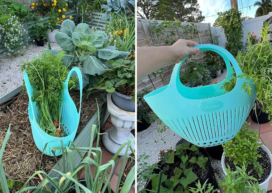 Your Fresh Picks Meet<span Style="Font:inherit;color:#d74b1f;"> Hutzler Garden Colander</Span> For A Quick Clean